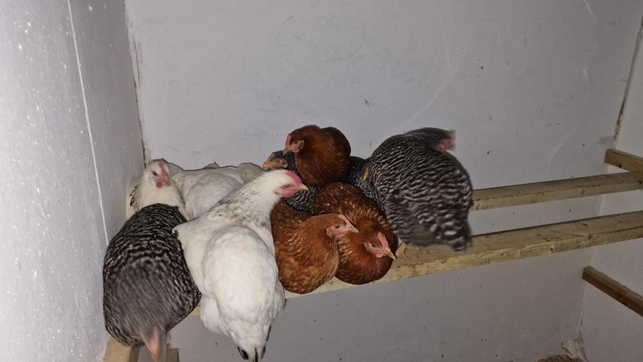 مبيت وإفطار Comberjon Domaine Le Puits Du Moulin المظهر الخارجي الصورة